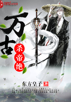 真三国无双王元姬无惨