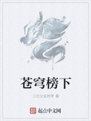 将军在上