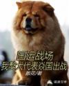 功夫熊猫1下载