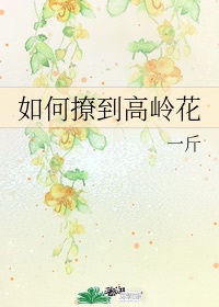 麻花豆传