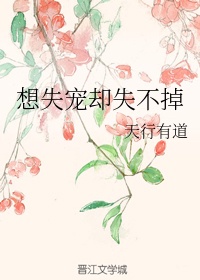 将军家的小媳妇