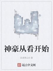 精英律师在线观看免费完整版