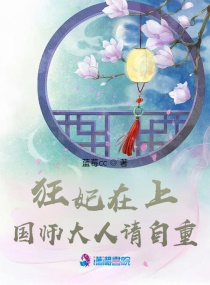 落霞小说魔道祖师