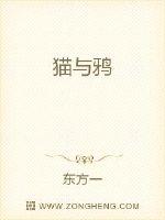 野花 高清 中文 免费 日本