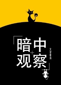 法国空乘2024满天星法版完整版