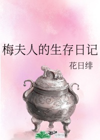 洗铅华小说