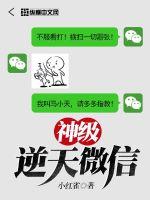 txt阿宾全文在线阅读