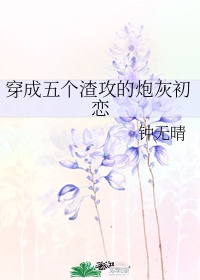 小说情深不负苏青