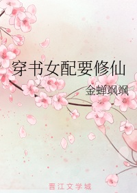 征服四部曲阿德菁玉