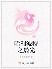 精英律师电视剧