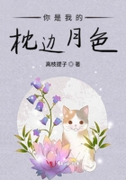 花心猛撞