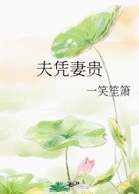 柳州莫菁门l一12集视频