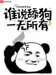 豪女婿完整全文阅读