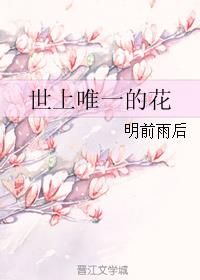 survivemore制作的动画怎么看