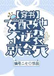 类似风流董事长