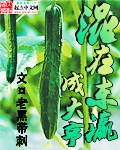 乱系列140章王丽霞