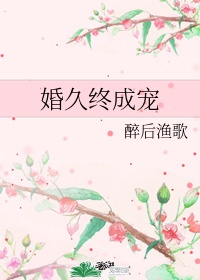 闪婚总裁契约妻