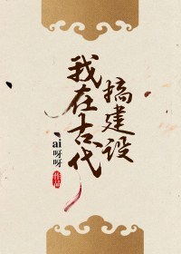 后插拔式动态视频