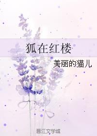 荡公乱妇第1章方情95视频