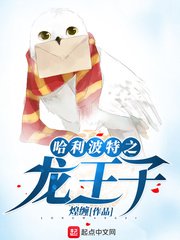 小鸡宝盒5.4