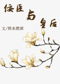 无人区码卡3卡4卡毛毛片