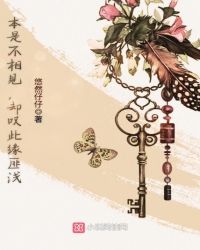 校花女友与黑人系列合集