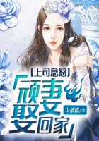 小龙女系列h版完结版