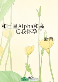 a集片