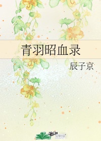 浪教师杨雪全集