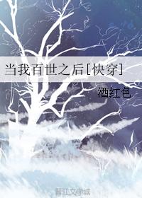 一眼万年小说