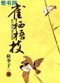 假面骑士铠武剧场版