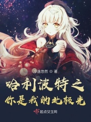 巫师2:刺客之王