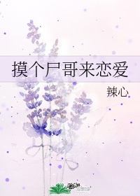 荔枝会员激活码