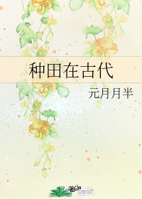 夏目彩春女律师中文字幕