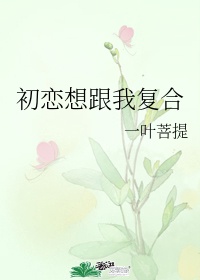 欧美A级SUV大全