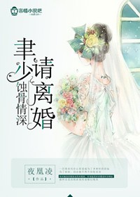 岳母和女婿小说