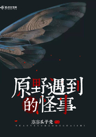 《他从远方来》舒远