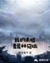 金瓶完整版2在线播放