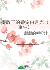 王妃又下毒了了txt