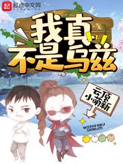 一二三四区高清在线免费观看