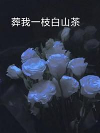 穿越之幸福农家媳