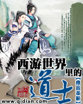 金梅瓶无删减版pdf