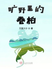 风流村医小说完整版