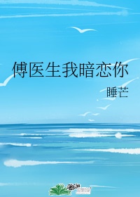 精灵宝可梦旅途中文版