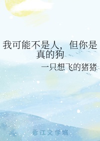 武林艳史萧云平无删节