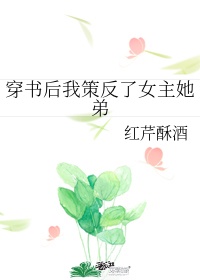 与狼共舞电视剧在线观看完整版