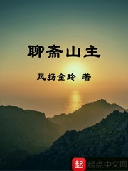 佩苏达 坑孔伽