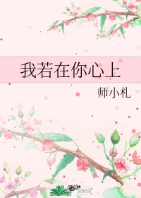 杨门女将柴郡主何春