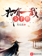 真三国无双7秘武