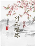 李师师电视剧完整版高清免费